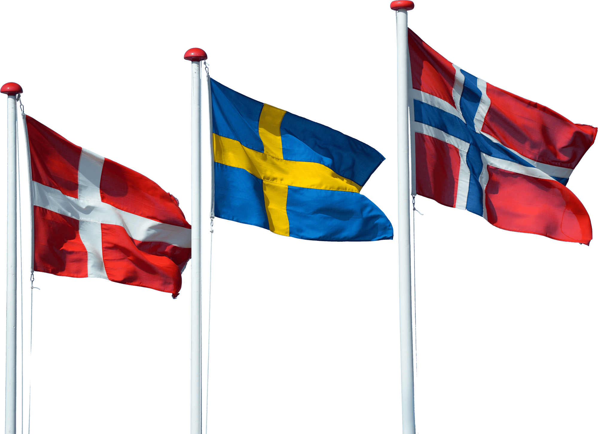 ProMInent-Norge-Sverige-Danmark-flaggor ProMInent-Norge-Sverige-Danmark-flaggor