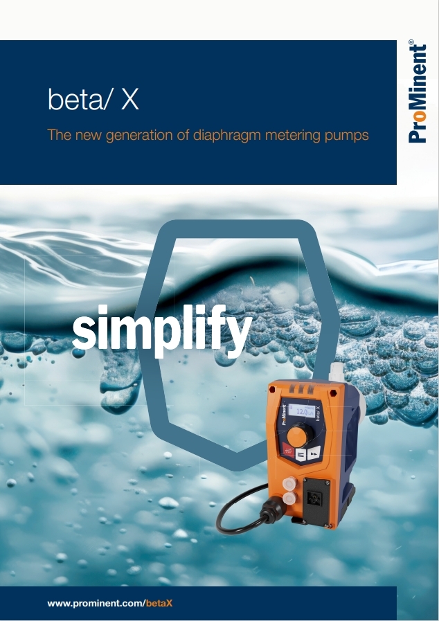 Whitepaper_betaX_Flyer_Screenshot