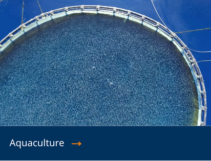 Aquaculture