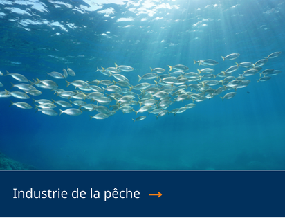 Fischereigewerbe FR Fischereigewerbe FR