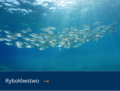 Fischereigewerbe PL