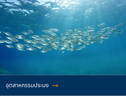 Fischereigewerbe THAI