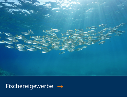 Fischereigewerbe