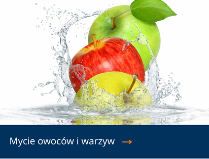 Reinigung Obst Gemüse PL